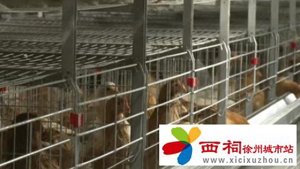 微信图片_20250423160552.jpg