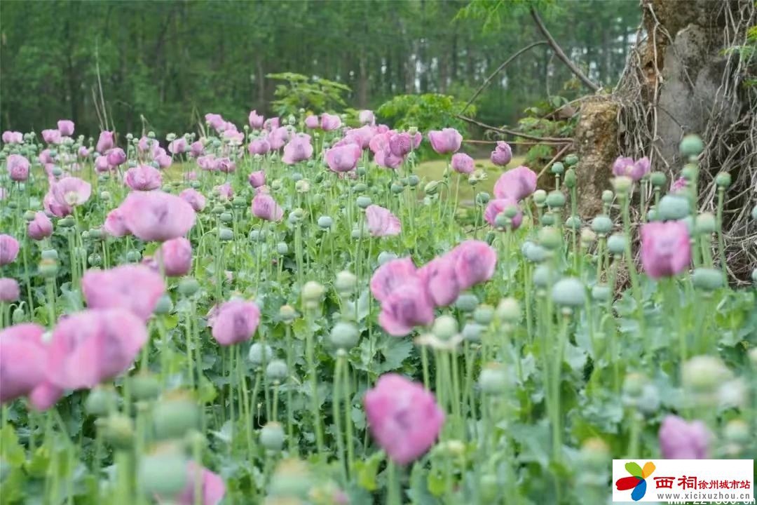 微信图片_20250425144816.jpg