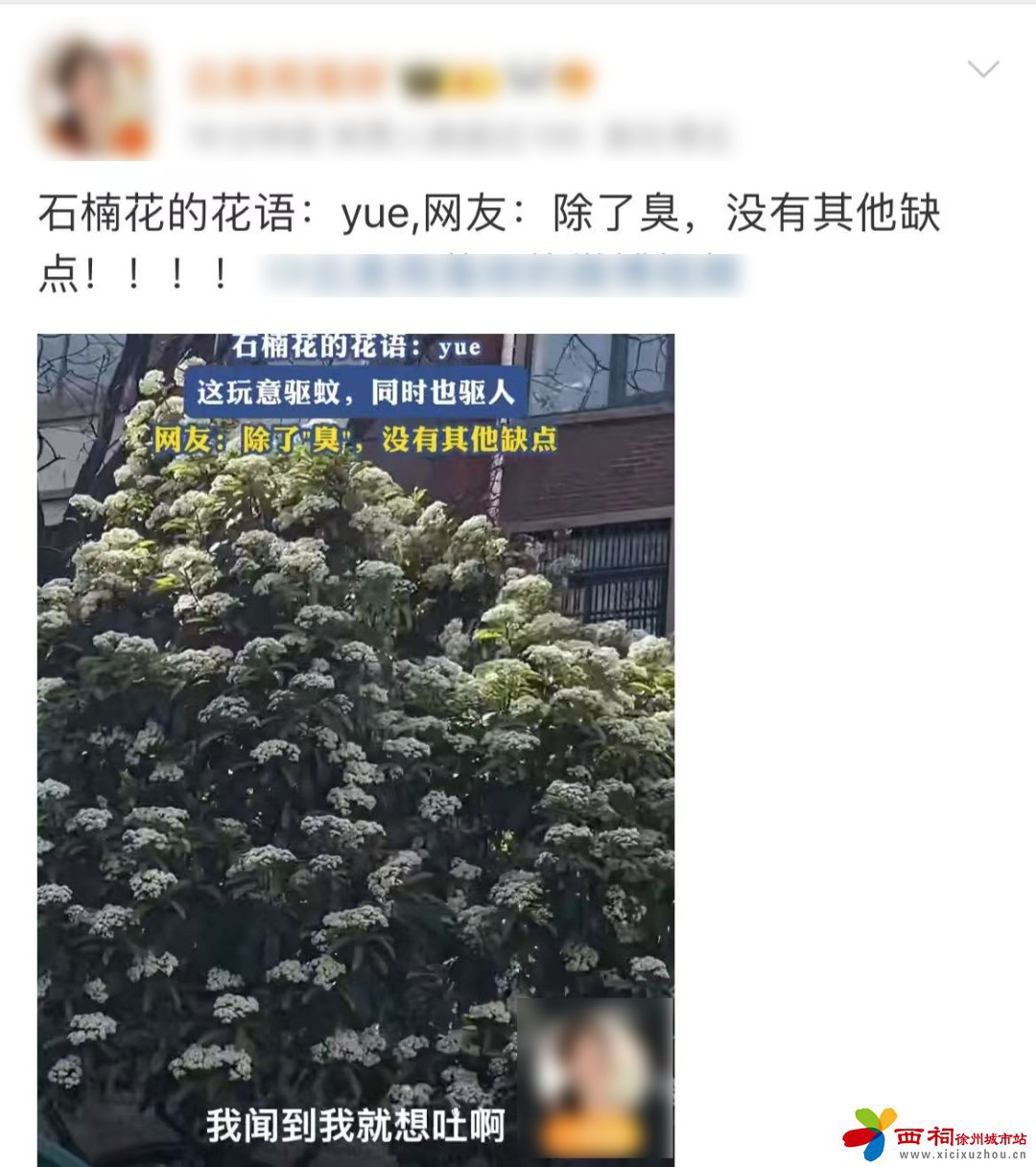 微信图片_20250421111434.jpg