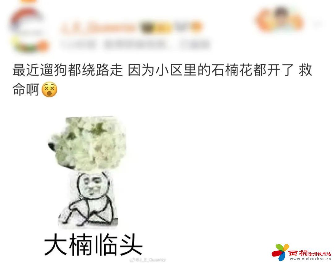 微信图片_20250421111430.jpg