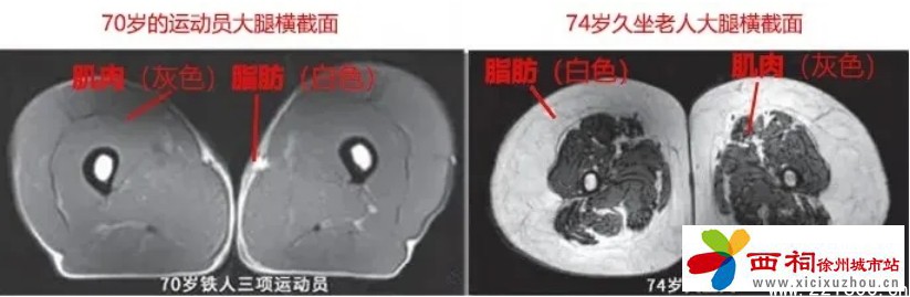 微信图片_20250508164402.jpg