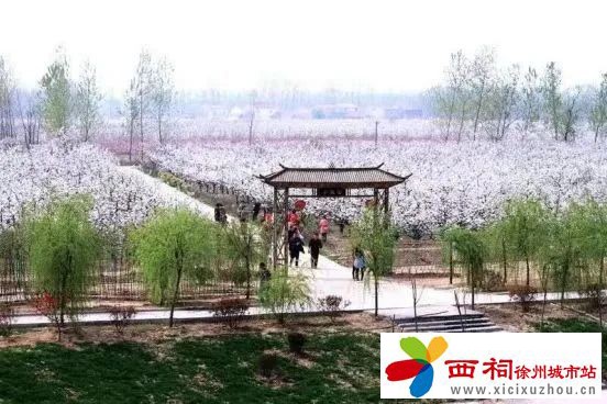 微信图片_20250512100008.jpg