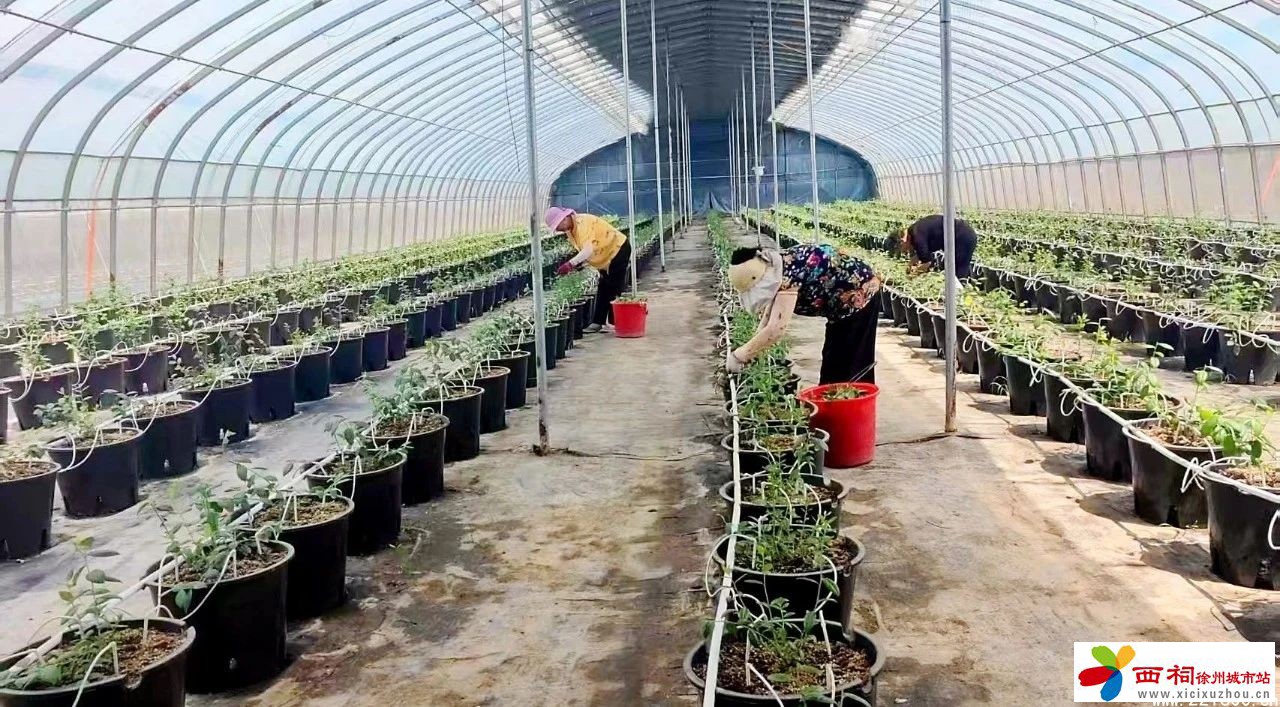 微信图片_20250512114034.jpg