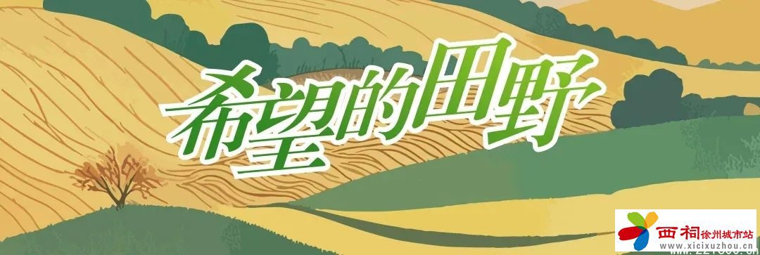 微信图片_20250512114030.jpg