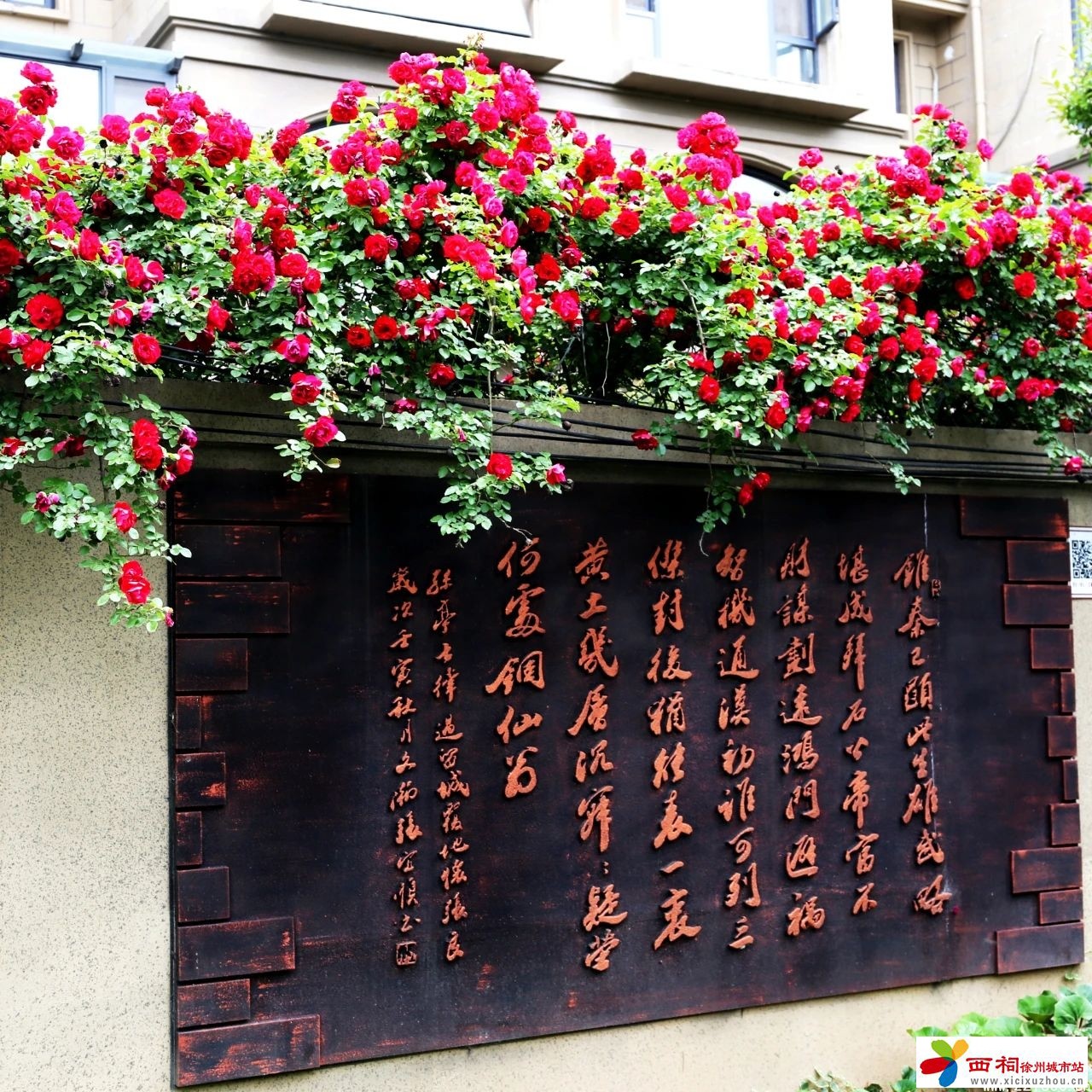 微信图片_20250514102336.jpg