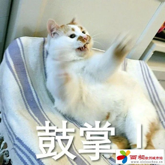 微信图片_20250520105111.jpg