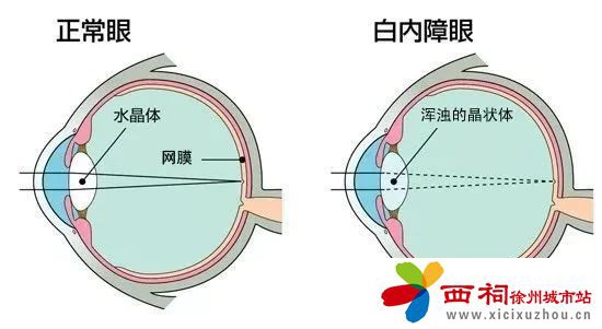 微信图片_20250523100751.jpg